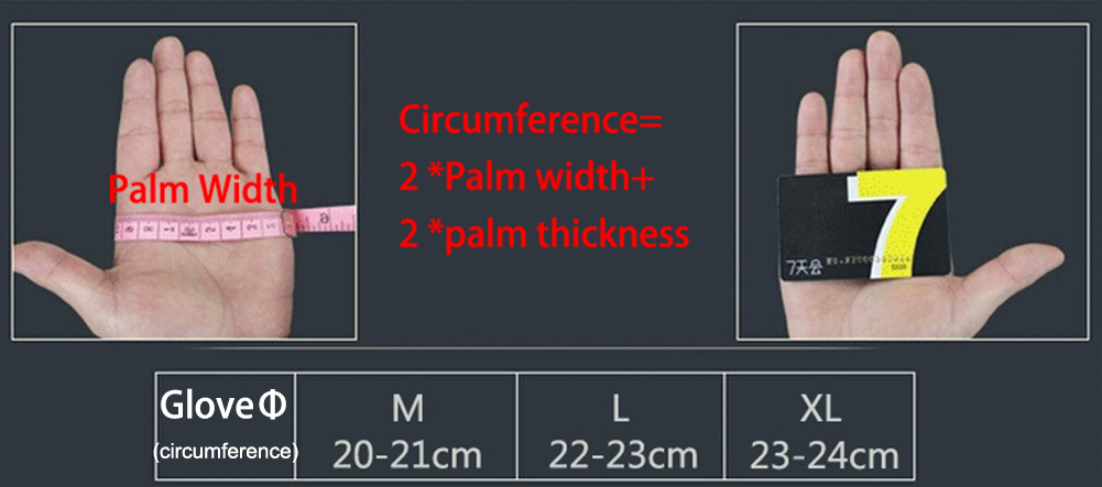 Gym Weights Dumbbells Weightli - Sports Equipment Names บทวิจารณ์และราคา